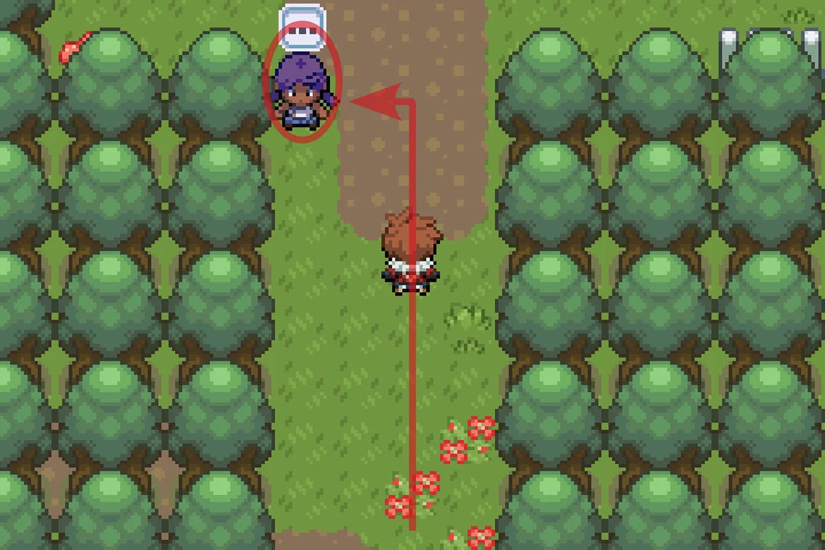 테사에게 다가가 “늪지의 수호자” 미션을 받는 모습. / Pokémon Unbound