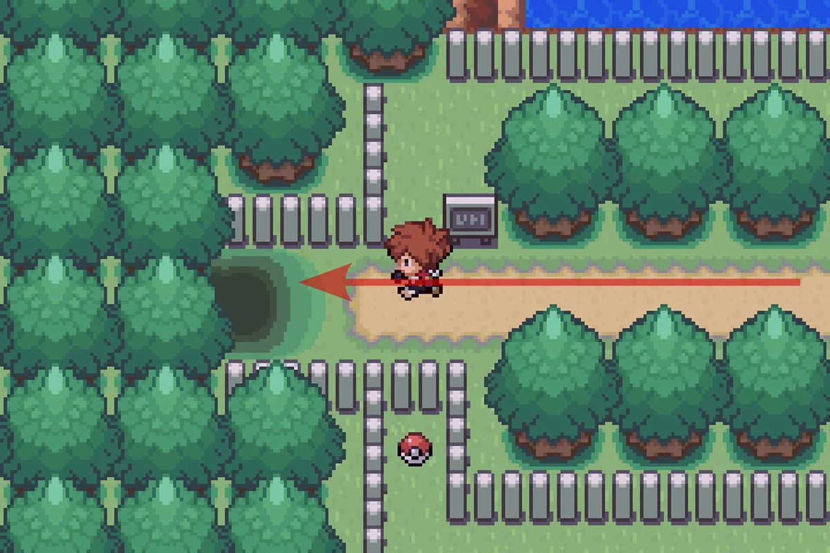 그림 숲로 들어가는 모습. / Pokémon Unbound