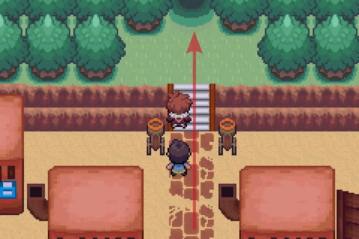 비빌 숲 진입 / 포켓몬 언바운드