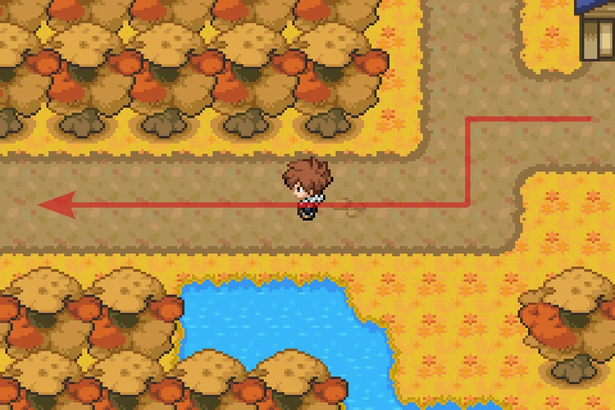 텔 타운을 나감. / Pokémon Unbound