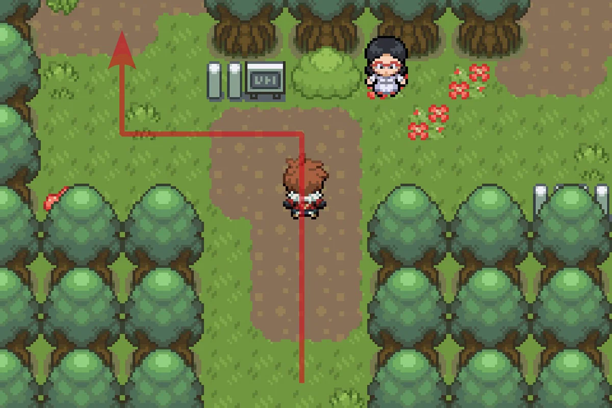 Following the path going West. / Pokémon Unbound