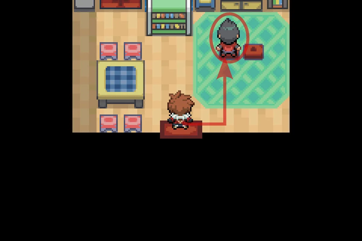 Approaching the NPC who gives the TM for Hidden Power. / Pokémon Unbound