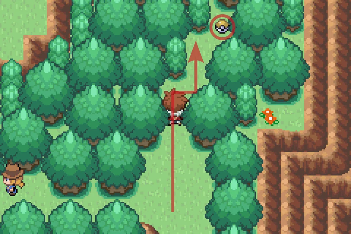 나무로 막혀 있던 길 끝에서 용의파동 발견. / Pokémon Unbound