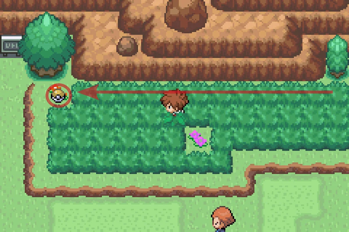 길 끝에서 바크아웃 기술머신에 도달하는 모습. / Pokémon Unbound