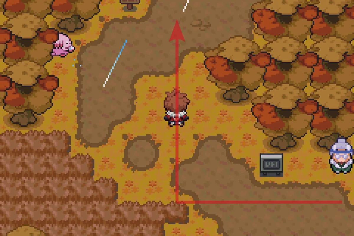 기도사 NPC를 지나쳐 북쪽으로 이동 / 포켓몬 언바운드