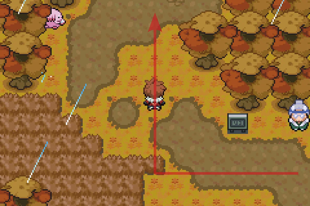 럭키를 향해 걷기. / Pokémon Unbound