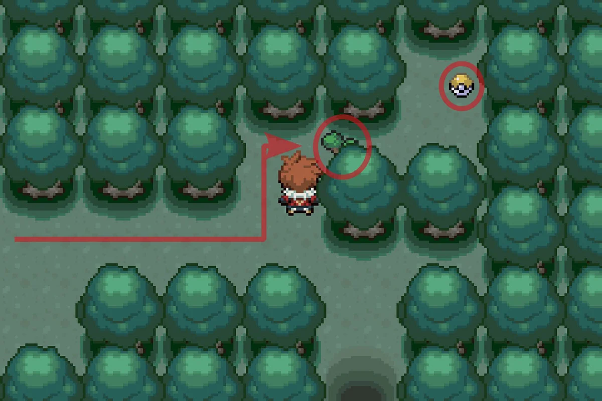 베일 수 있는 나무 뒤에 기가드레인 TM을 찾는 모습. / Pokémon Unbound