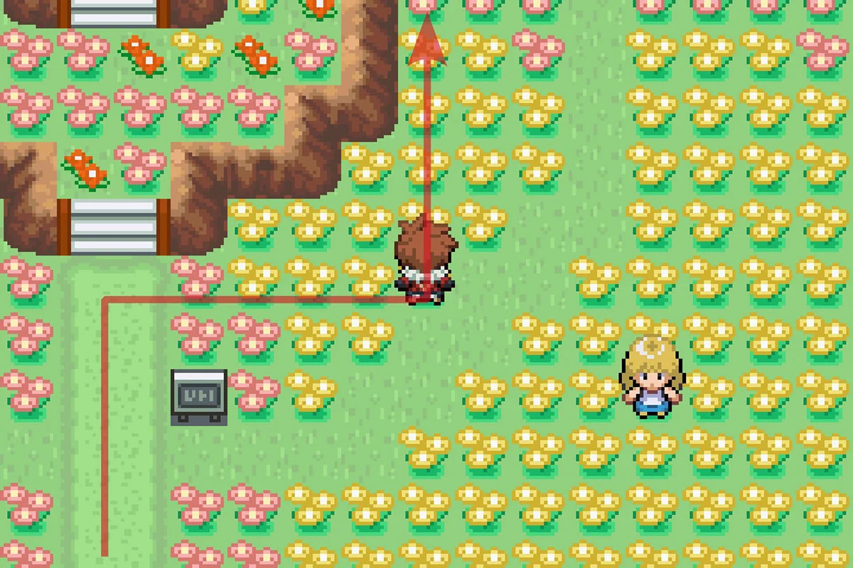 꽃 언덕 주변을 걷는 모습. / Pokémon Unbound