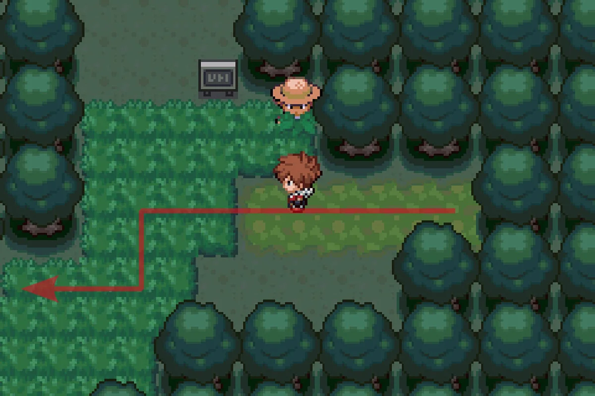 서쪽으로 긴 풀숲을 지나 걷기 / 포켓몬 언바운드