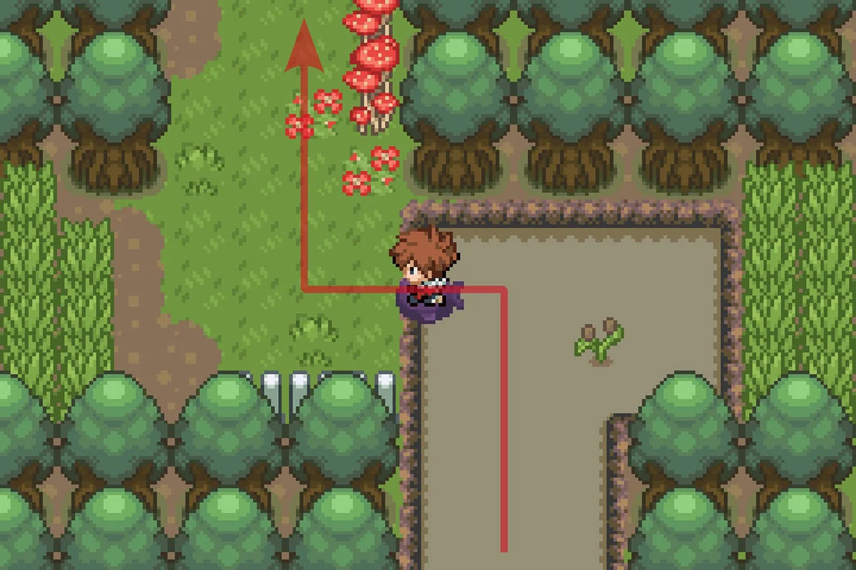 Landing and continuing North. / Pokémon Unbound