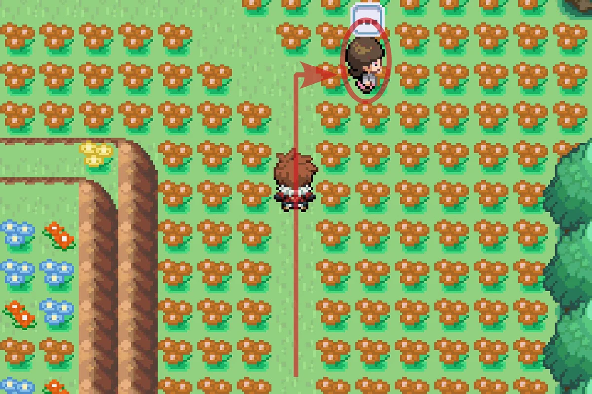 꿀모으기 미션을 주는 사람과 대화하는 모습. / Pokémon Unbound