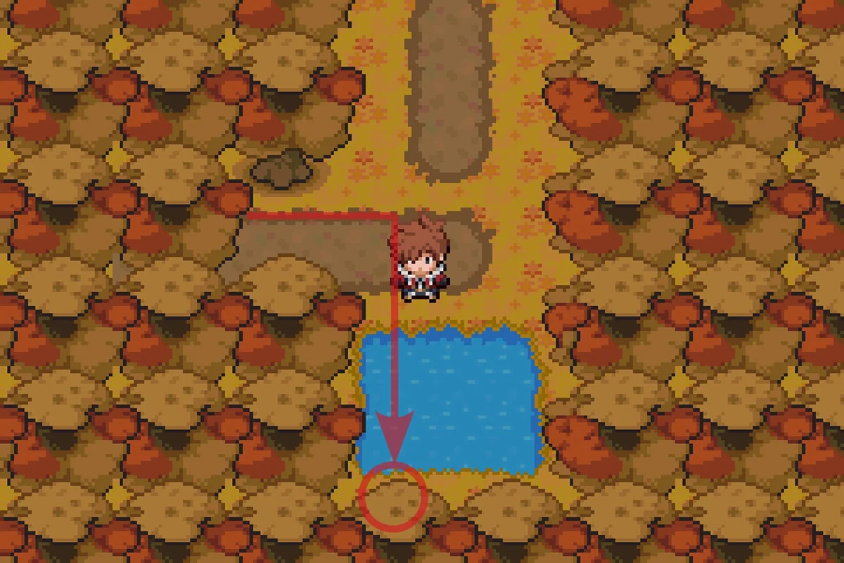 나무 뒤에 숨겨진 기술머신 니트로차지 발견 / 포켓몬 언바운드