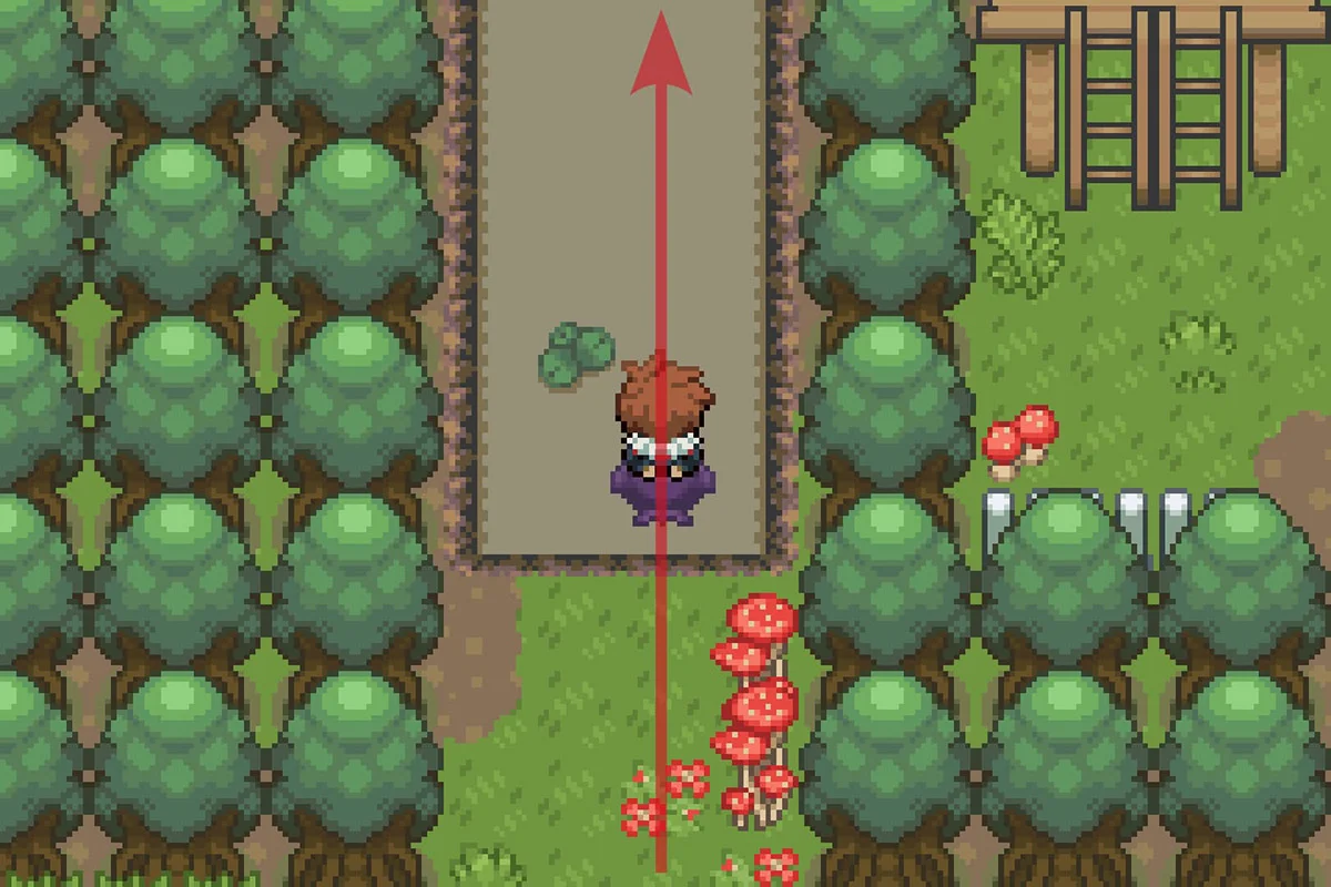 Using Surf again. / Pokémon Unbound