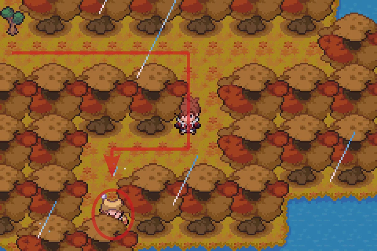 비바라기를 주는 광대 발견. / Pokémon Unbound