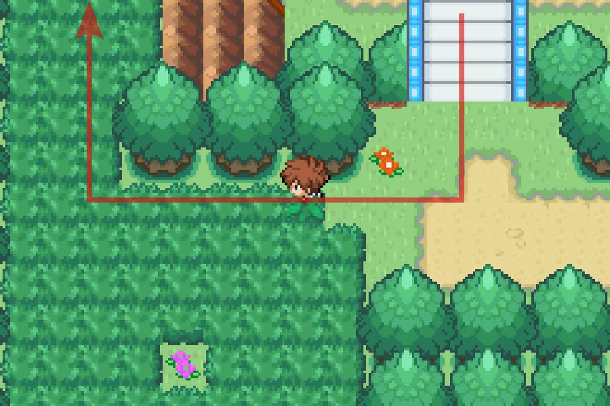 서쪽의 키가 큰 풀숲으로 걸어 들어가는 모습. / Pokémon Unbound