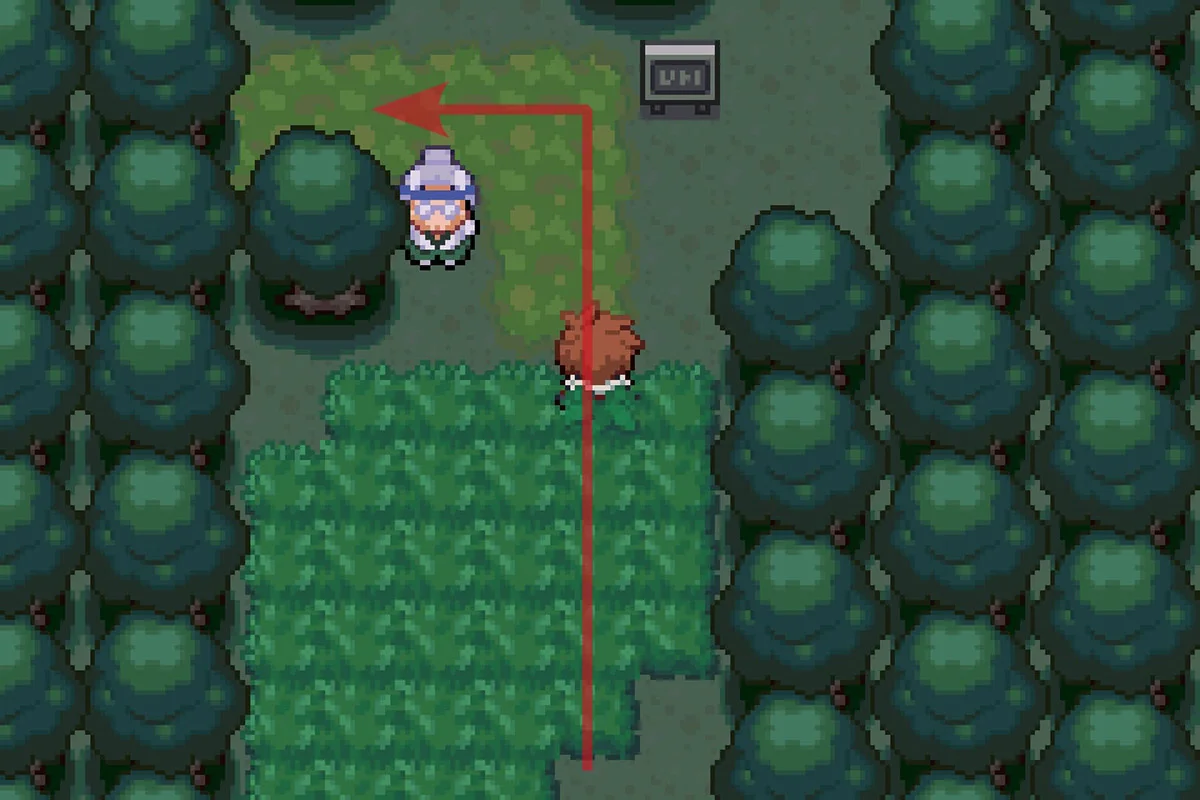 그림 숲 빠져나오기 / 포켓몬 언바운드