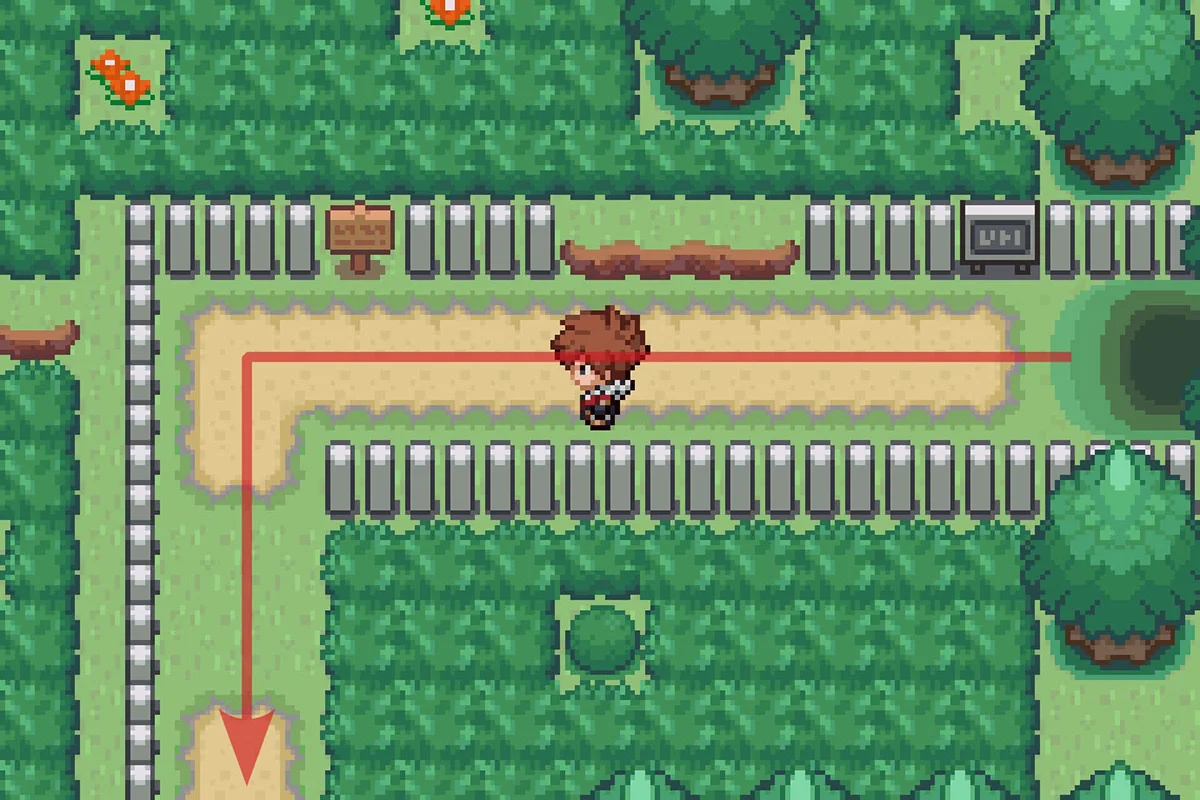 그림 숲에서 멀어지는 길 따라가기 / 포켓몬 언바운드