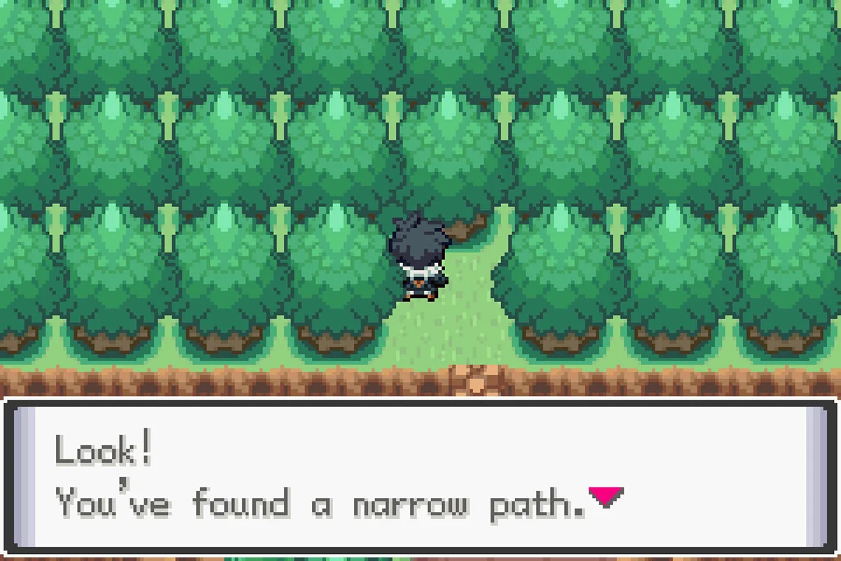 The path leading to the Route 14 Raid Den. / Pokémon Unbound