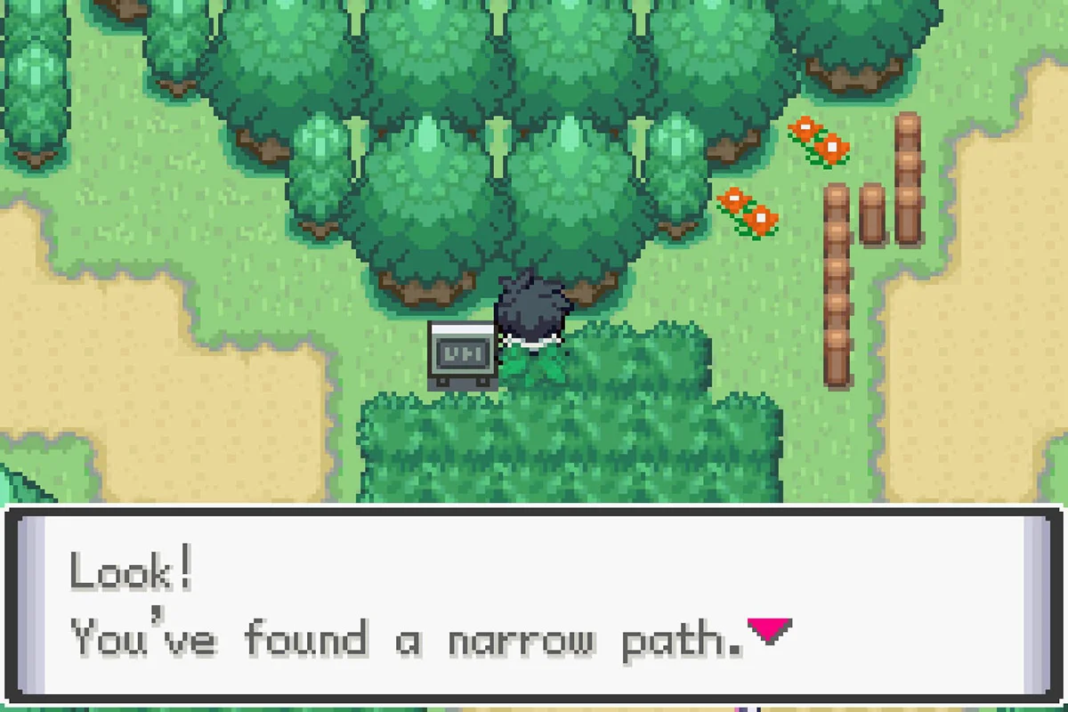 The path leading to the Route 18 Raid Den. / Pokémon Unbound
