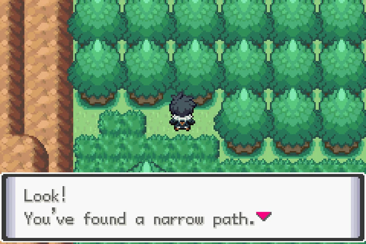 The path leading to the Route 4 Raid Den. / Pokémon Unbound