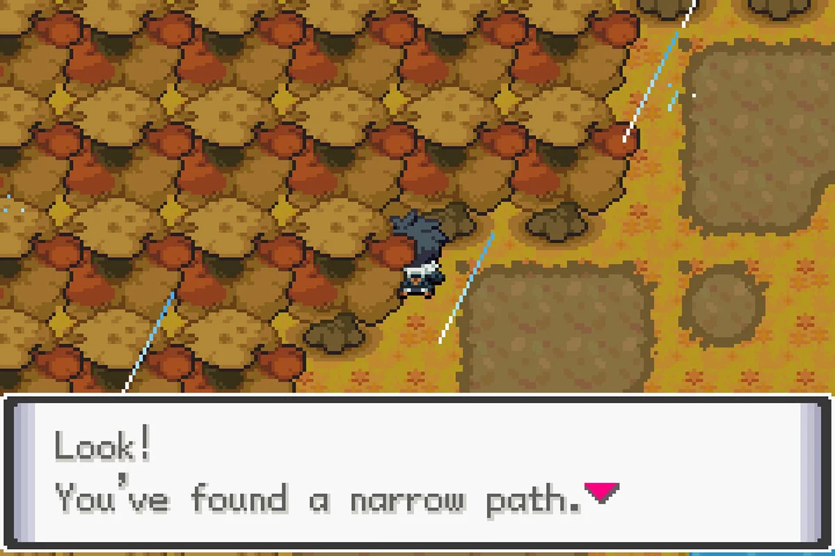 The path leading to the Route 9 Raid Den. / Pokémon Unbound