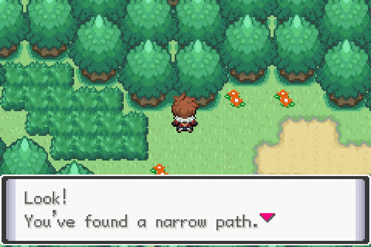 The path leading to the Magnolia Fields Raid Den. / Pokémon Unbound