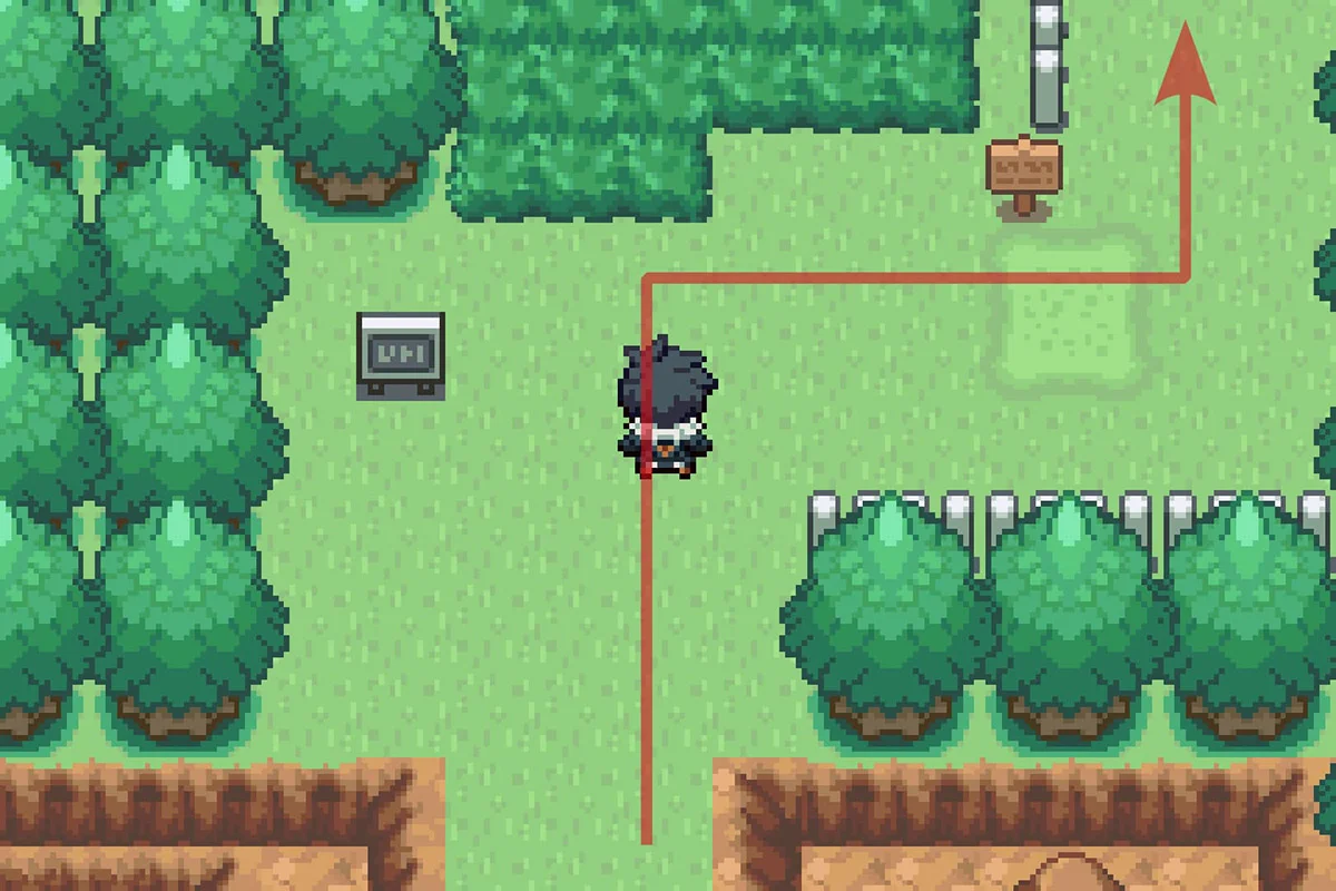 Entering Route 5 and continuing forward. / Pokémon Unbound