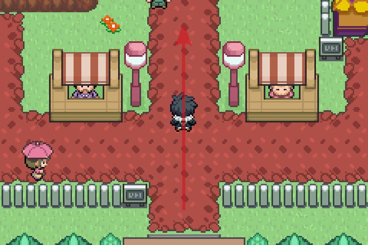 Going north after exiting the connector. / Pokémon Unbound