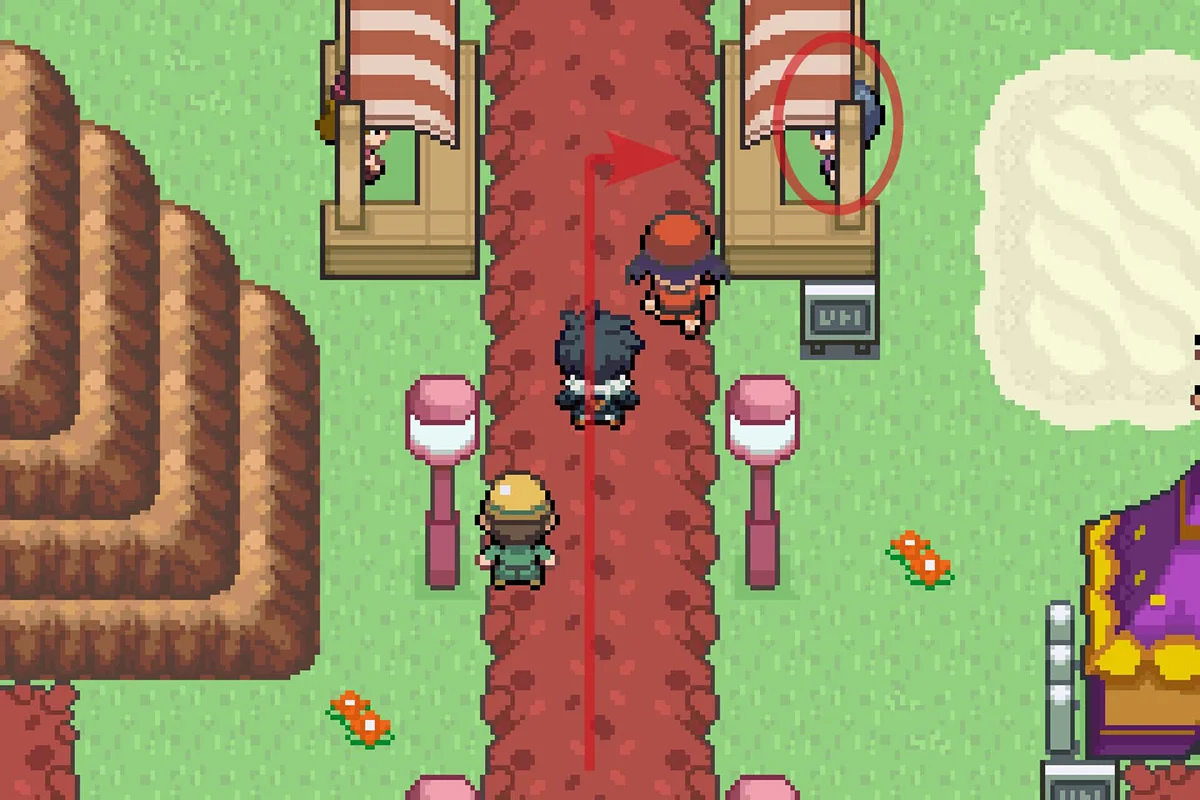 Approaching the Hidden Power Changer. / Pokémon Unbound
