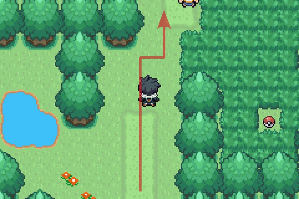 Continuing on the path north. / Pokémon Unbound