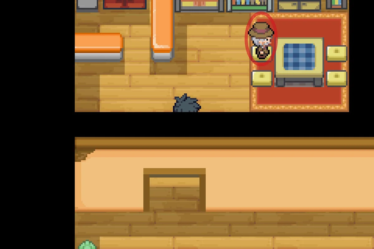 Approaching the Ore Maniac. / Pokémon Unbound