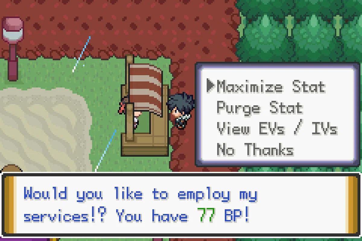 Every service offered by the EV Changer. / Pokémon Unbound