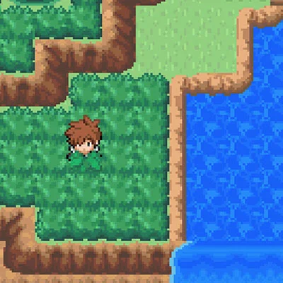 야생 포켓몬 소지 아이템