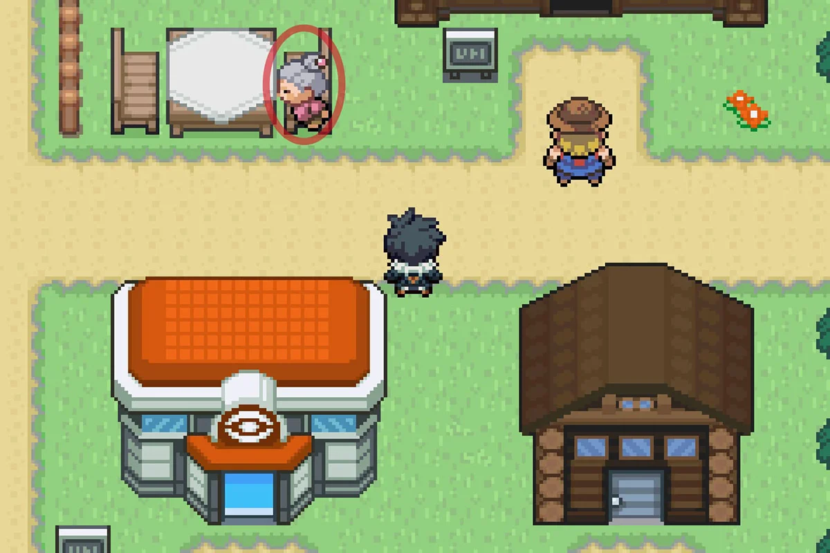 Approaching the Egg Lady. / Pokémon Unbound