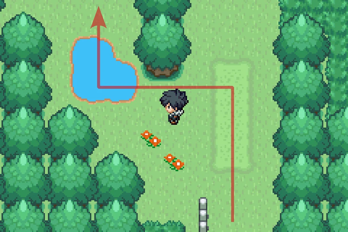 Following the path going west. / Pokémon Unbound