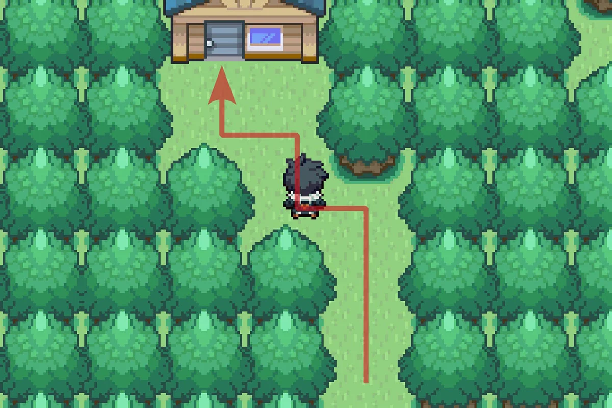 Entering the house at the end of the path. / Pokémon Unbound