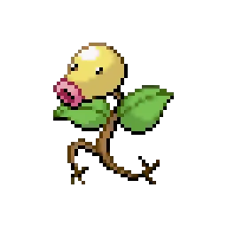 모다피 Bellsprout