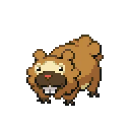 비버니 Bidoof