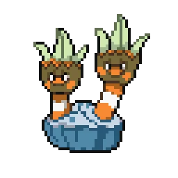 거북손손 Binacle