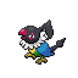 페라페 Chatot
