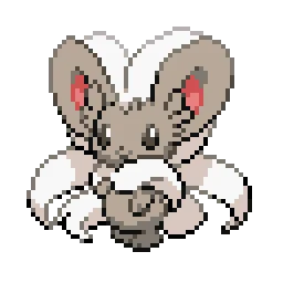 치라치노 Cinccino