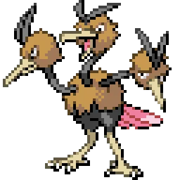 두트리오 Dodrio
