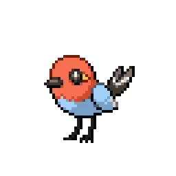 화살꼬빈 Fletchling