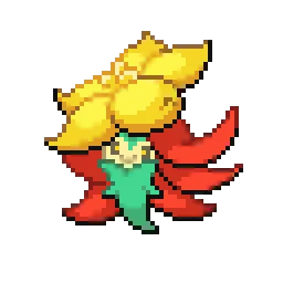 꼬모카 Gossifleur