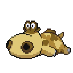 히포포타스 Hippopotas