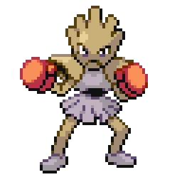 홍수몬 Hitmonchan