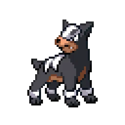 델빌 Houndour