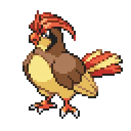 피죤 Pidgeotto