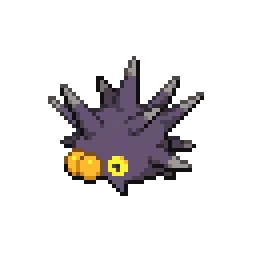 찌르성게 Pincurchin