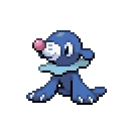 누리공 Popplio